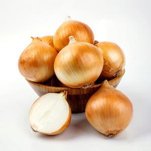 국내산 무안 햇양파 5kg 중대혼합