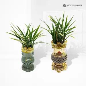 동양난 서양난 승진 개업 영전 축하 난 란 전국꽃배달서비스