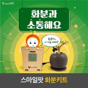 코코아팹 스마일팟 화분키트+오렌지보드