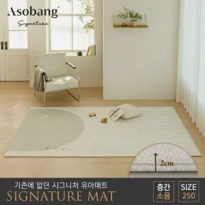 시그니처 유아 놀이방매트 오르빗 250 (250x150x2cm)