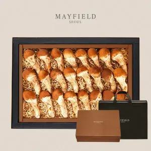 [메이필드호텔] [2/2일 순차출고] 지정농장 무농약 참송이버섯세트 1kg/26-30개 지함+보냉가방