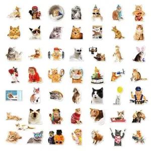 태블릿방수패치 다꾸 큐트 50p 야옹이 핸드폰데코 (WFJ5LNC)