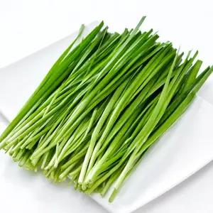 싱싱햇 국산 제철 부추 정구지 10kg