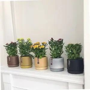 플라스틱 화분 15x16cm