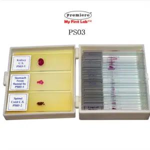 생물 관찰 PS-03 상급 프레파라트 현미경 표본 유리 슬라이드 PREPARAT 과학실 과학 실험 키트 초등 학교