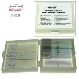 생물 관찰 PS-16 중급 프레파라트 현미경 표본 유리 슬라이드 PREPARAT 과학실 과학 실험 키트 초등 학교