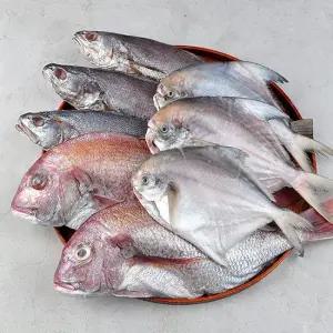 반건조 생선 세트 제수용 선물용 참돔 민어 병어 가자미 삼치