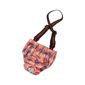 강아지 생리팬티 위생팬티 애견용 기저귀 팬티 세트 WFLOOY2