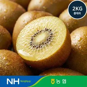 순천 농협 국내산 골드 키위 2kg (과당 20과 내외)