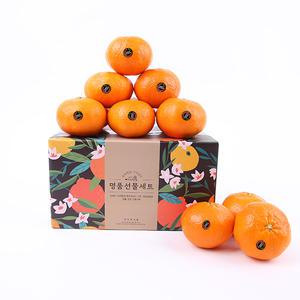 블랙라벨 제주 레드향 2~4.5kg (벌크)