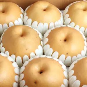 [다농이네]부드럽고 달콤한 신고배(가정용) 3kg 4-6과