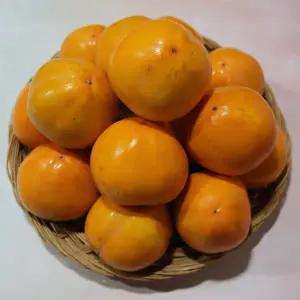 [이베따]산좋고 물좋은 산청 고종시감(곶감용) 10kg(51-60과) 실중량