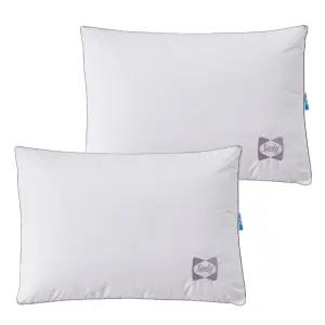 씰리 폴리 베개  2P 스탠다드베개 프레쉬 향균 코스트코