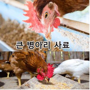 큰병아리사료15kg(12주령부터 ~산란개시2주령전까지 급여)  가축사료
