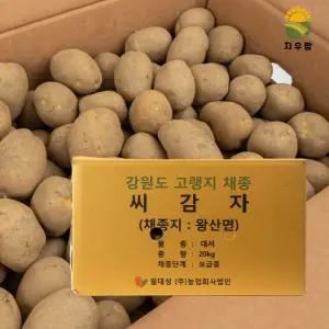 강원도 정품 씨감자 보급종 두백 20kg 주말농장 감자씨