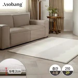 2P 프라임 놀이방매트 라인웨이브 210 (210x140x2cm)