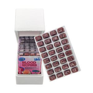 히카리 냉동 장구벌레 히카리 냉짱 12팩(1박스) / 수입사 직접 납품 드라이아이스포장