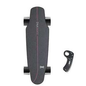 전동 스케이트보드 4 륜 초보자 성인 전기 나무 보드