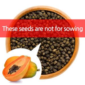 실험용 파파야 씨앗 열대과일 종자 30알