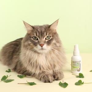 펫토리아 고양이 캣닢 스프레이 50ml