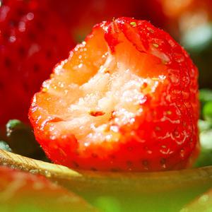 오늘 새벽 수확한 고당도 금실딸기 특 2팩 700g 내외 (30구내외)