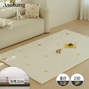 2P 프라임 놀이방매트 스프링 그라운드 230 (230x140x2cm)