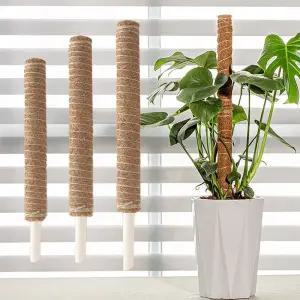더올데이즈 코코넛 수태봉 화분 식물 지주대 연결형 플라스틱 지지대