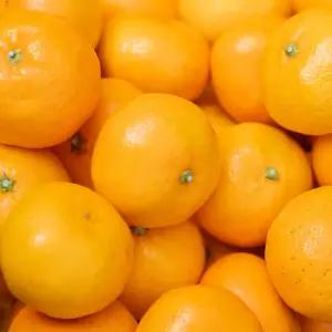 고당도 효돈감귤 로얄과 중대과 10kg 5kg 박스포함중량