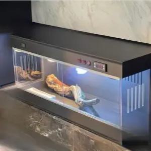 파충류 육지거북이 포맥스사육장 자동 애완용 집 온도 소켓 렉사 조절