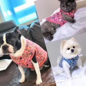 애견 꽃무늬 누빔 조끼 할매 2컬러 강아지옷