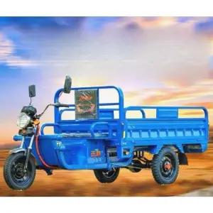 삼토바이 초소형 농사용 전기트럭 화물 삼발이 전기차 트럭