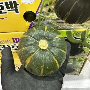 국내산 밤호박 8kg 보우짱 단호박 품질보장 백씨네 농산물