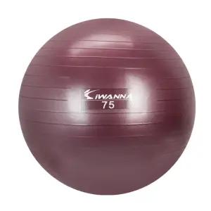 허리근력 강화 홈트레이닝용 짐볼 75cm 헬스볼 허리짐볼 스트레칭볼 요가볼 실내운동볼 복근운동 실내운동