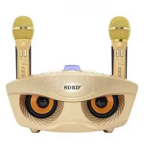 부엉이 마이크 블루투스 무선 골드 캠핑 스피커 노래방