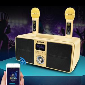 SDRD 노래방 마이크 수업용 MD홍 블루투스 가정용 버전 노래방마이크