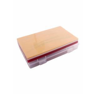 연습용 모형 실습용 /근육 동 인체모형 IV 연습세트 실습