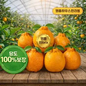 꿀라봉 제주 서귀포 한라봉 *고당도하우스재배* 17brix최대(중소과~대과)3kg