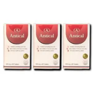 안티칼 알파 Antical 알파올라민 600mg 3박스