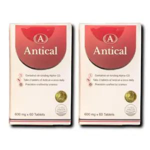 안티칼 알파 Antical 알파올라민 600mg 2박스
