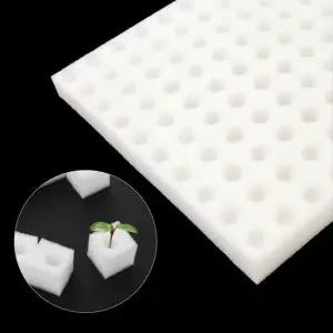 수경재배 씨앗 발아 식물 상추 파종 스펀지 100조각