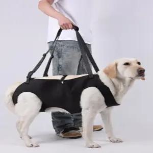 노견 강아지 하네스 보조벨트 대형견을위한 전신견인