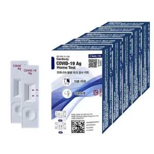 젠바디 코로나 홈 자가 진단 키트 20개입 신속 항원 PCR 검사