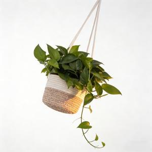 걸이형 화분 바구니7구멍이 뚫린 직조 질감의 농가 스타일 실내외 겸용 포함 강한 하중 지지력