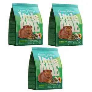 [애니몰파크]리틀원 그린밸리 푸드 풀 기니피그 사료 750g 3개