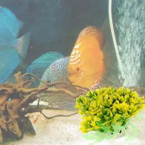 어항꾸미기 열대어 은신처 인조 수초 꽃 노랑