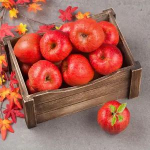 실속형 고당도 고랭지 달콤 부사 사과 5kg(26-30과)