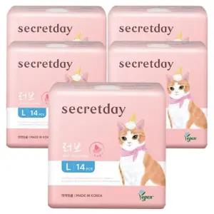 시크릿데이 NEW 러브 대형 14Px5팩