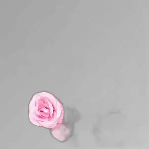 플라워월 조화 꽃벽 FL25(60x40cm) 포토존 벽장식