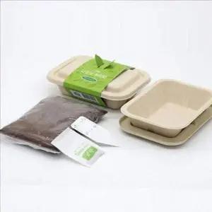 귀리 새싹 재배 베란다 가정용 키우기 씨앗 용품