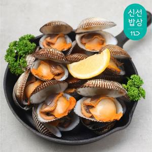 남해안 피꼬막 3kg / 2025년 햇 출하